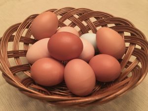 Fresh eggs from Ryan Family Farm