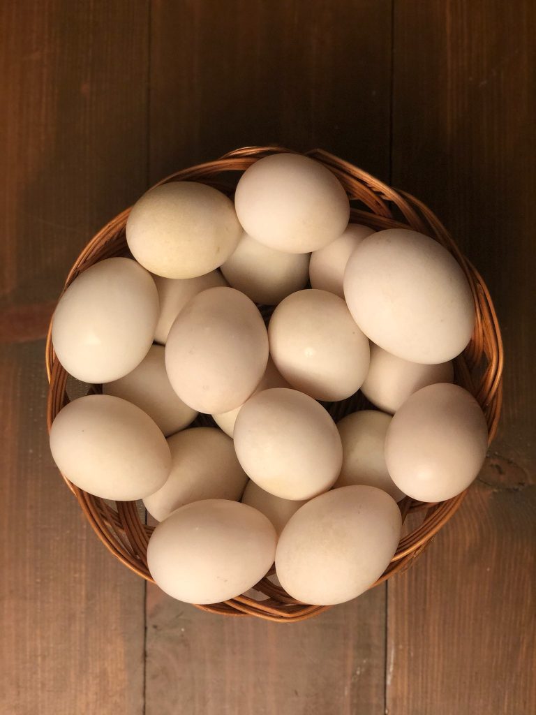 Fresh Duck Eggs